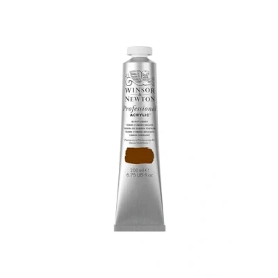 Immagine di Winsor &amp; Newton Professional Acrylic Color Fine 200 ml Terra d&#039;Ombra Bruciata