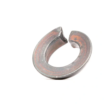 Immagine di FEBI BILSTEIN 01241 Anello limite, Cerchione
