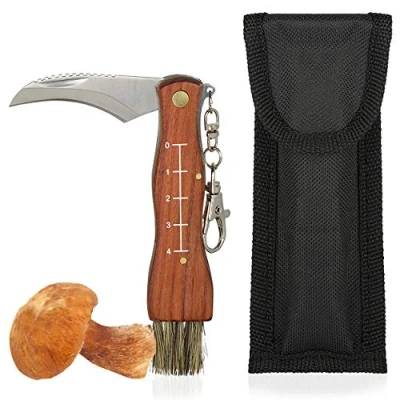 Immagine di Coltello per Funghi con Spazzolina e Misuratore di Lunghezza, Serramanico Tascabile, Manico in Legno, Lama Acciaio Inox, Fodera Compresa