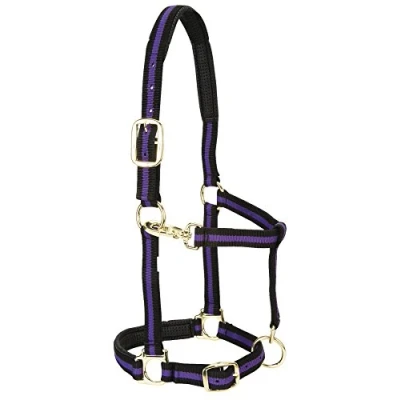 Immagine di Weaver Leather Cavezza imbottita regolabile in nylon, viola, 2,5 cm, cavallo piccolo