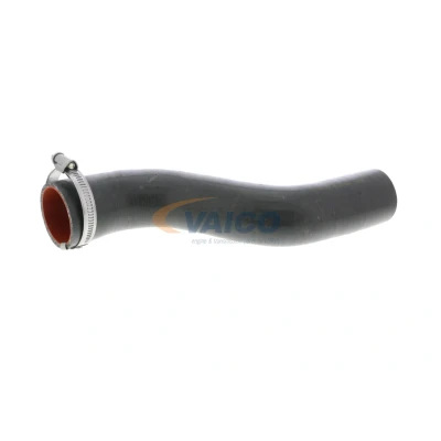 Immagine di VAICO V46 0738 Manicotto Turbina Gomma con anima di tessuto Q+ qualità primo fornitore RENAULT: Kangoo II Express, / Grand