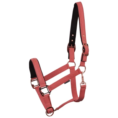Immagine di Harry&#039;s Horse Halter Bit