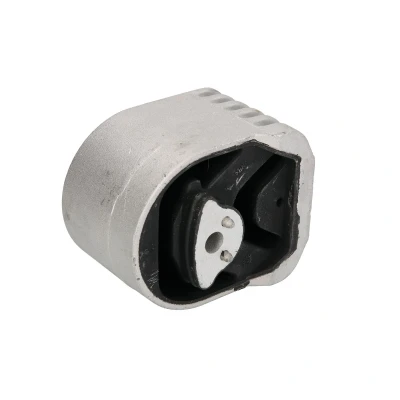 Immagine di DELPHI TEM180 Supporto motore MERCEDES BENZ: Classe B, A