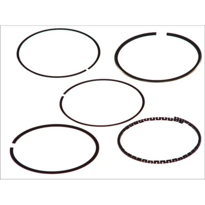 Immagine di GOETZE ENGINE 08 101200 00 Kit Fasce Elastiche 80