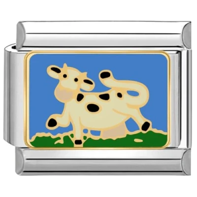 Immagine di Quiges Charm Link in acciaio inox 9mm compatibile con i braccialetti di stile Nomination #576