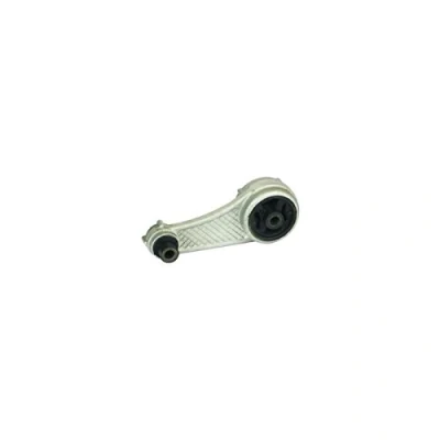 Immagine di DELPHI TEM013 Supporto motore RENAULT: Kangoo I, I Express