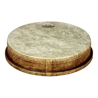 Immagine di Testa Remo Fiberskyn 3 Djembe 12&quot; MO 2512 FA
