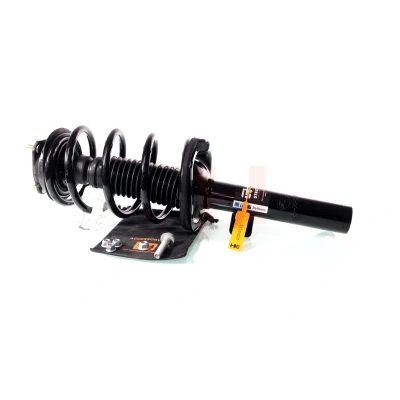 Immagine di GH 352552C03 2 x pressione del gas completamente assemblato Ammortizzatore anteriore destro = sinistro