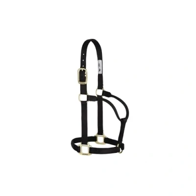 Immagine di Weaver Leather Cavezza per cavallo in nylon non regolabile, piccola, nera