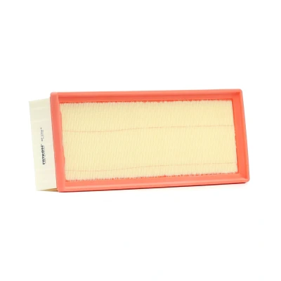 Immagine di FILTRON AP 139/4 filtro aria 67 128 322 Cartuccia AUDI: Q5, A5 B8 Coupe, A4 Avant