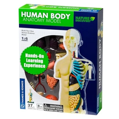 Immagine di Thames &amp; Kosmos , 260830, Human Body Anatomy Model, 37 Parts with Stand And Guide Book, Build Your Own Body, Nature Discovery Range, Ages 8+