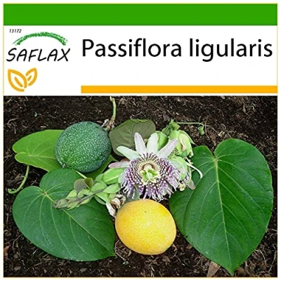 Immagine di SAFLAX Granadilla 20 semi Con substrato Passiflora ligularis