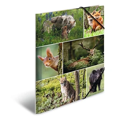 Immagine di HERMA 19341 Cartellina portadocumenti DIN A4, motivo: animali della foresta, in cartone resistente, con stampa interna completa ed elastico, per bambini, ragazzi e ragazze