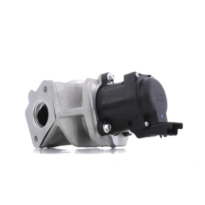 Immagine di DELPHI EG10401 12B1 Valvola EGR con guarnizioni FORD: C Max, Focus 2, Mk2 Van / Station Wagon, MINI: Hatchback, MAZDA: 3 Hatchback mister auto,