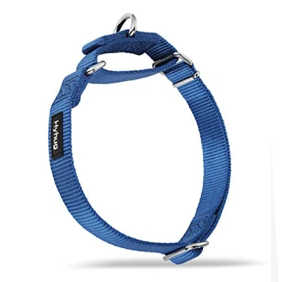 Immagine di Premium aggiornato collare per cani Martingale anti fuga in nylon resistente di taglia piccola e media Allenamento a piedi Uso quotidiano (Grande L, Blu classico)