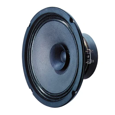 Immagine di Visaton BG 20 Full range Woofer