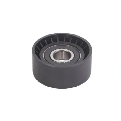 Immagine di BTA B05 02 043 Rullo Tendicinghia