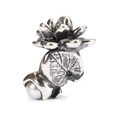 Immagine di Trollbeads Charm, Argento Sterling 925, Donna