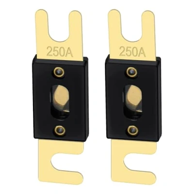 Immagine di Heschen ANL Fuse 250 Amp per sistema audio auto veicoli foglio oro e nero 2 pezzi
