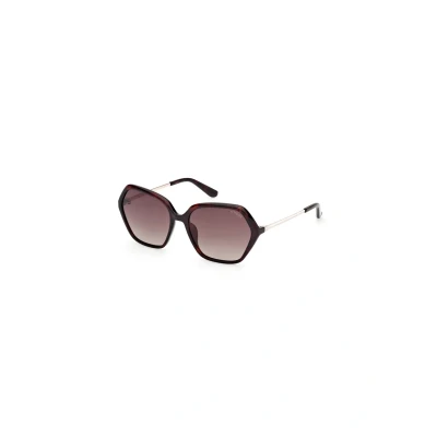 Immagine di Guess GU00134 Occhiali da sole Dark avanabrown (gradient), Donna, Taglia: 55, avana brown (gradient)