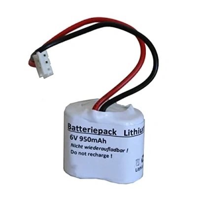Immagine di Batteria 6 V 950 mAh al litio F2 x 1 con cavo JST EHR 3