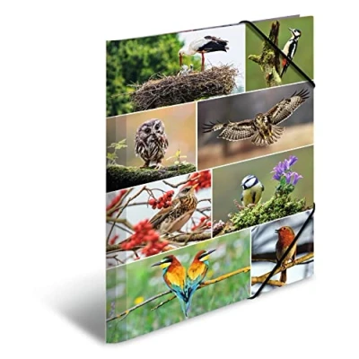 Immagine di HERMA 19455 cartellina A3 Animal Worlds Home Birds, cartella angolare per bambini in cartone con stampa interna ed elastico, robusta ragazzi e ragazze