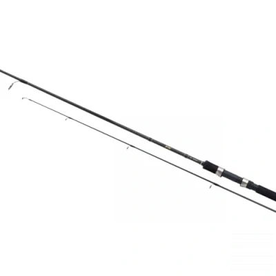 Immagine di Rod FX XT Spinning