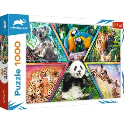 Immagine di Trefl 1000 Elementi, animali del mondo, cornici colorate, intrattenimento creativo, regalo, divertimento, classici Puzzle, Colore Regno, Tierreich, 10672