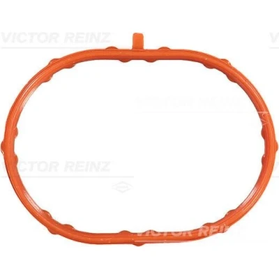 Immagine di REINZ 71 53796 00 Guarnizione Collettore Aspirazione