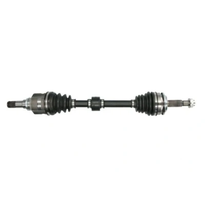 Immagine di Albero motore/Semiasse PASCAL G22023PC