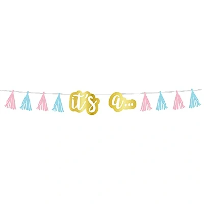 Immagine di amscan 220417 55 Ghirlanda di nappe per rivelare il genere, 2,4 m, Multicolore,