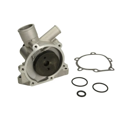 Immagine di HEPU P604 Pompa acqua incl. Kit guarnizioni, con guarnizione meccanico Metallo