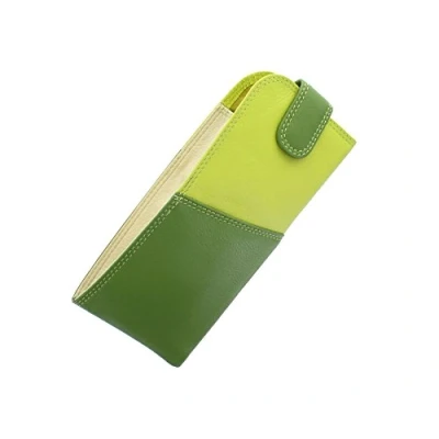 Immagine di VISCONTI Portaocchiali in Pelle Nappa Collezione Rainbow BELIZE RB106 Verde Multi