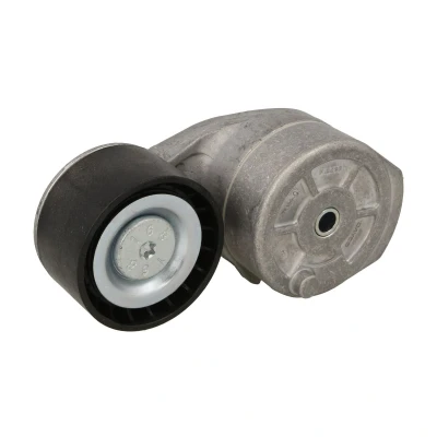 Immagine di SKF VKMCV 56011 Rullo Tendicinghia