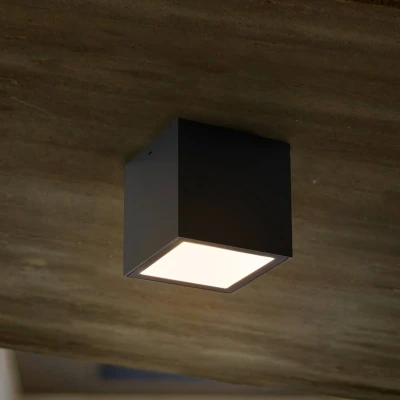 Immagine di Lutec 6389101118 GEMINI Lampada LED a soffitto per esterni (monocolore) 7.00 W Antracite