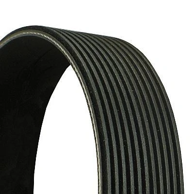 Immagine di CONTITECH 11PK2040 Cinghia Poly V 2040 11