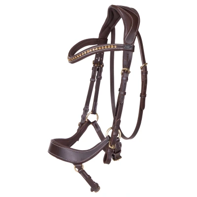 Immagine di QHP Bridle Devi