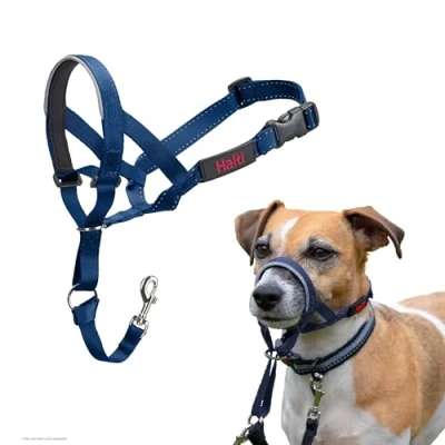Immagine di HALTI Cavezza per impedire al cane di tirare guinzaglio, regolabile, riflettente e leggera, con nasello imbottito, collare anti tiro, addestramento cani piccoli (Taglia 1, blu cobalto)