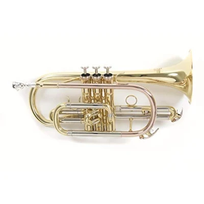 Immagine di Roy Benson Bb Cornet CR 202 (strumento in ottone leggero di alta qualità, per uso professionale, include custodia rettangolare, con set zaini), laccato