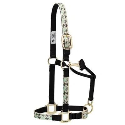 Immagine di Weaver Leather Cavezza regolabile in nylon per cavalli, cactus, cavallo medio