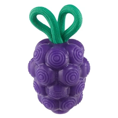 Immagine di Outward Hound Planet Dog by Dental Grapes Chew Toy and Interactive Treat Stuffer Durable Stuffable Toy, Medium, Purple