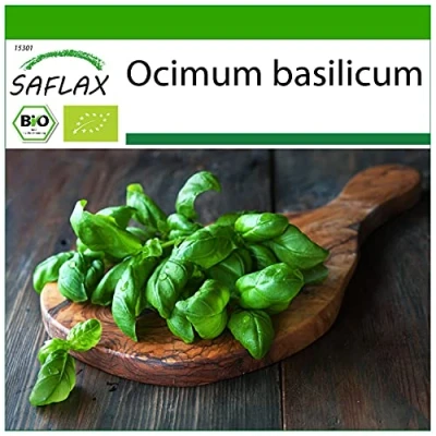 Immagine di SAFLAX BIO Basilico Dolce Genovese 800 semi Ocimum basilicum