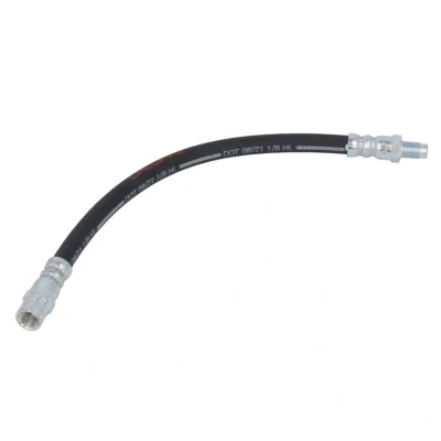 Immagine di DELPHI LH6467 Tubi Freno 295 M10x1 Int SF