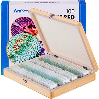 Immagine di Amscope, PS100E, 100 vetrini da microscopio già pronti, uso scolastico, set E