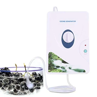 Immagine di Generatore di ozono per acqua e depurazione d&#039;aria Macchina Ossigeno Purificatori D&#039;acqua,O3 disinfezione sterilizzatore con timer digitale