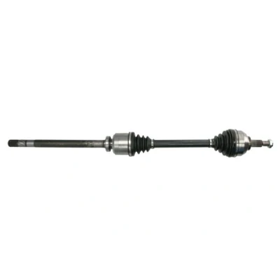 Immagine di Albero motore/Semiasse PASCAL G2R076PC