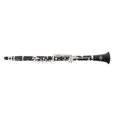 Immagine di Roy Benson Bb Clarinet CB 318 (corpo in ABS Premium, sistema Boehm, inclusi bocchino USA e accessori per la cura, custodia rettangolare leggera, con set di zaini)