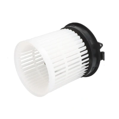 Immagine di Soffiante interna THERMOTEC DD1007TT