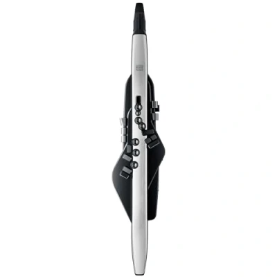 Immagine di Roland Aerophone AE 30 Pro Strumento a Fiato Digitale Professionale con Sistema di Sintesi ZEN Core e suoni SuperNATURAL, Tradizionale Diteggiatura del Sassofono, Bluetooth, Editor App, Nero