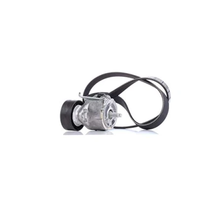 Immagine di DAYCO KPV110 Kit cinghie Poly V FIAT: Panda III Hatchback, Punto II LANCIA: Ypsilon III, Musa,